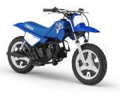 2007 Yamaha PW 50 photo